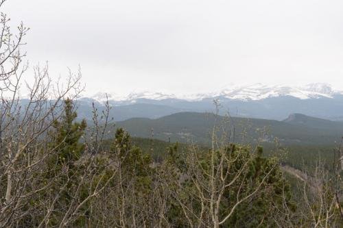 20230524-DSC04209